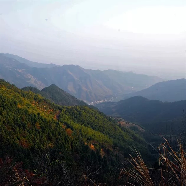 通城 药姑山