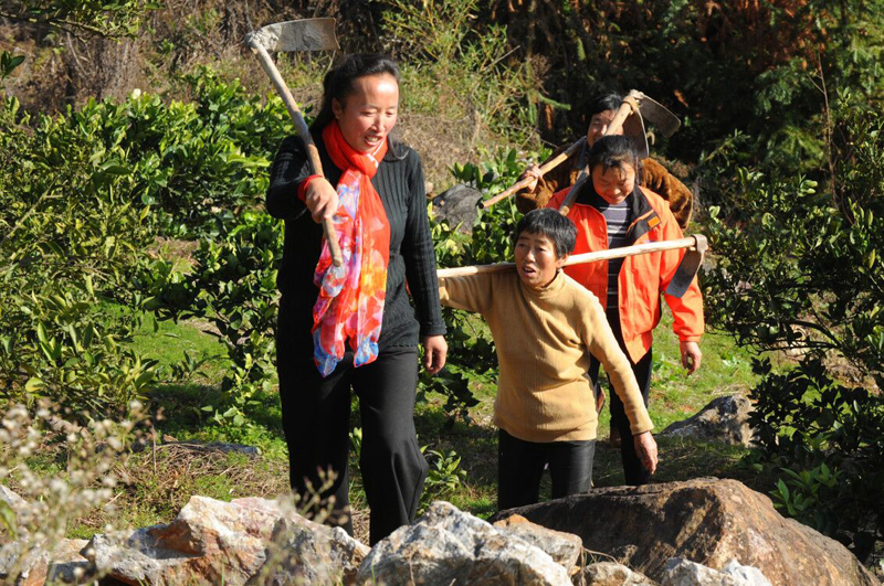 湖北通山县人口碑_湖北通山包砣图片(3)