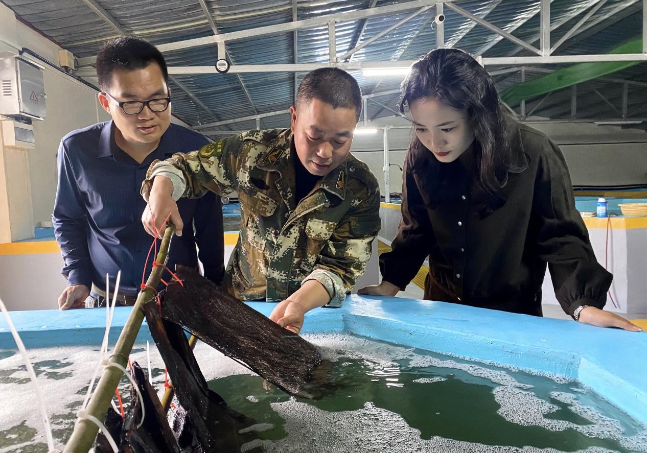 深学习实调研抓落实 | 咸宁：深入一线开展调研监督